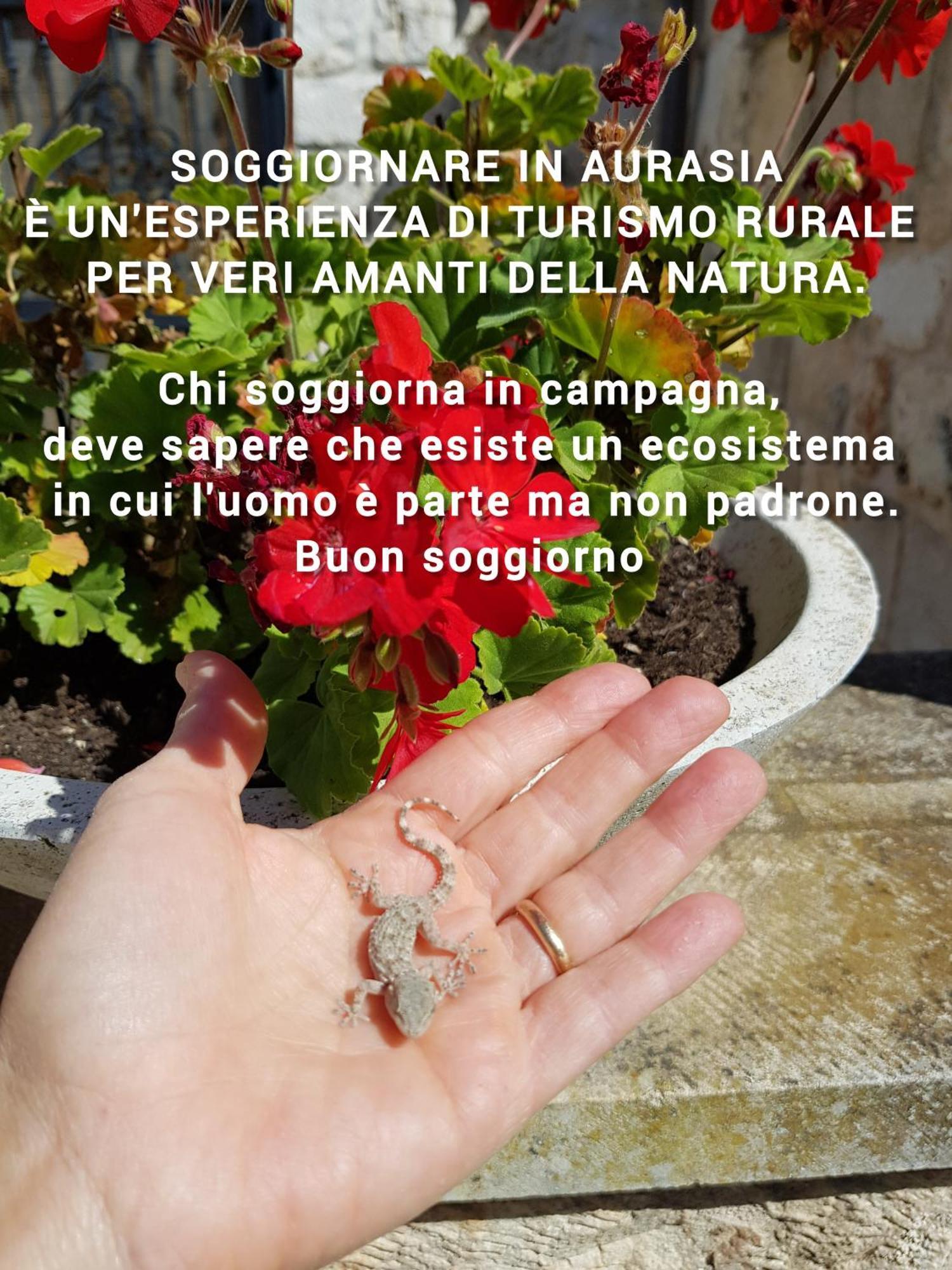 Trulli Aurasia Ostuni Luaran gambar