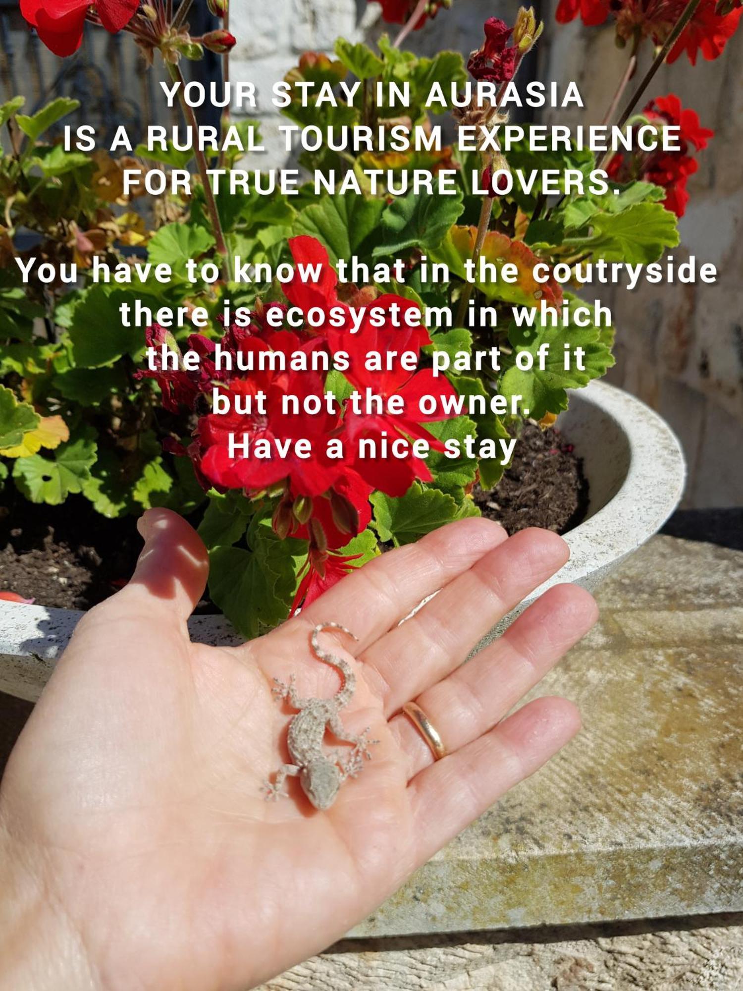 Trulli Aurasia Ostuni Luaran gambar