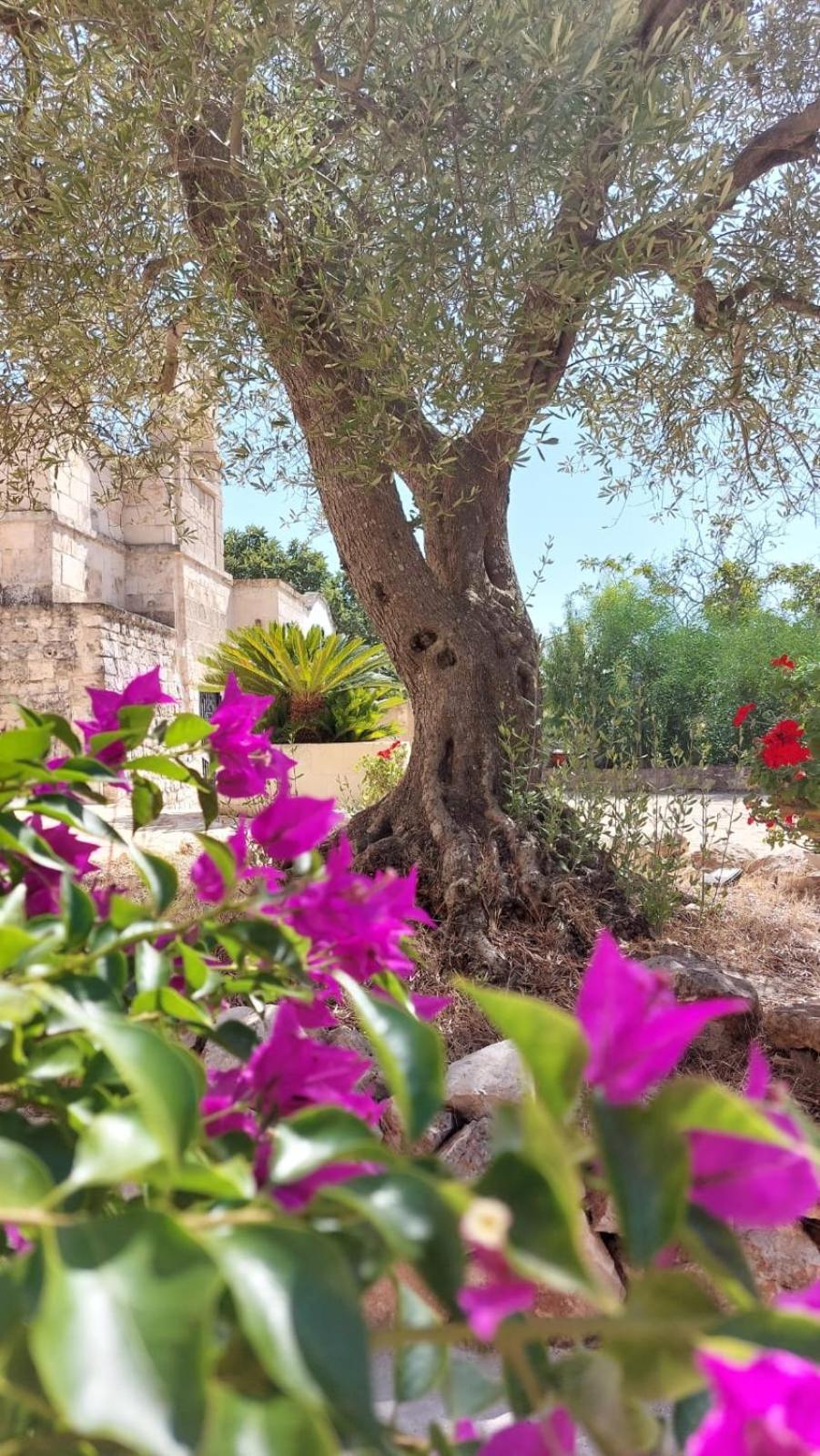 Trulli Aurasia Ostuni Luaran gambar