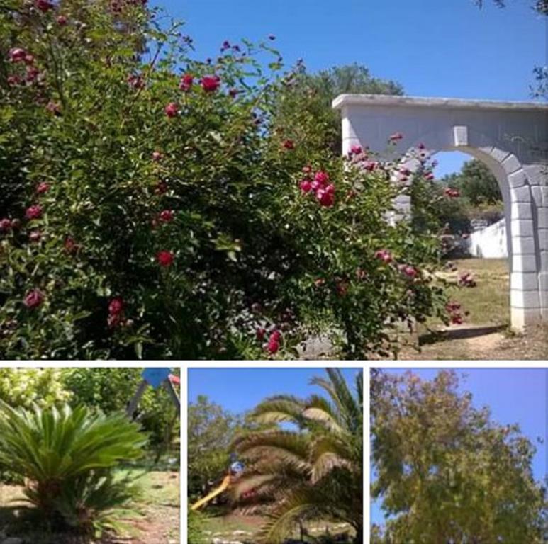 Trulli Aurasia Ostuni Luaran gambar
