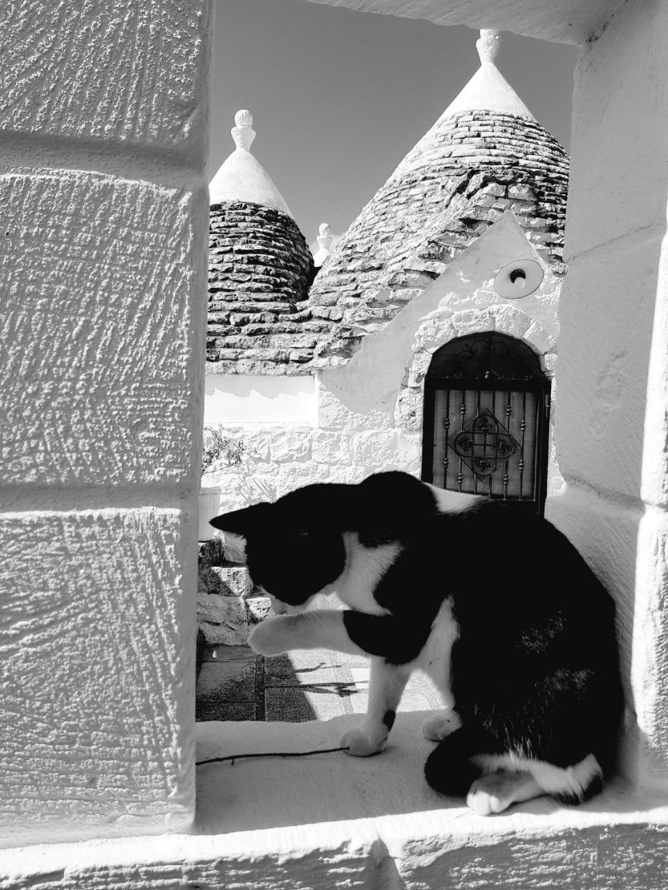 Trulli Aurasia Ostuni Luaran gambar